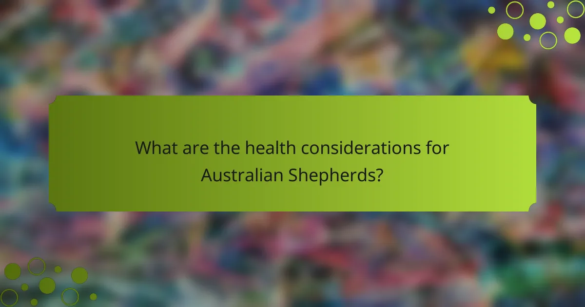 What are the health considerations for Australian Shepherds?