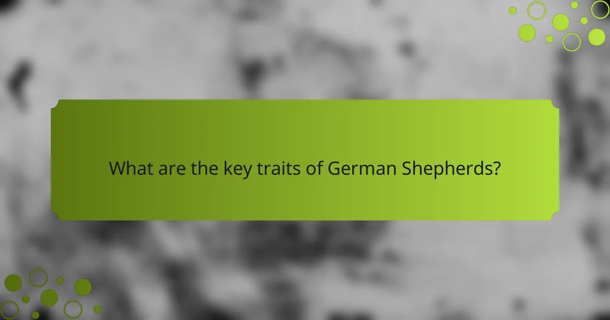 What are the key traits of German Shepherds?