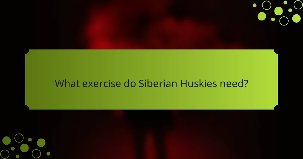 What exercise do Siberian Huskies need?