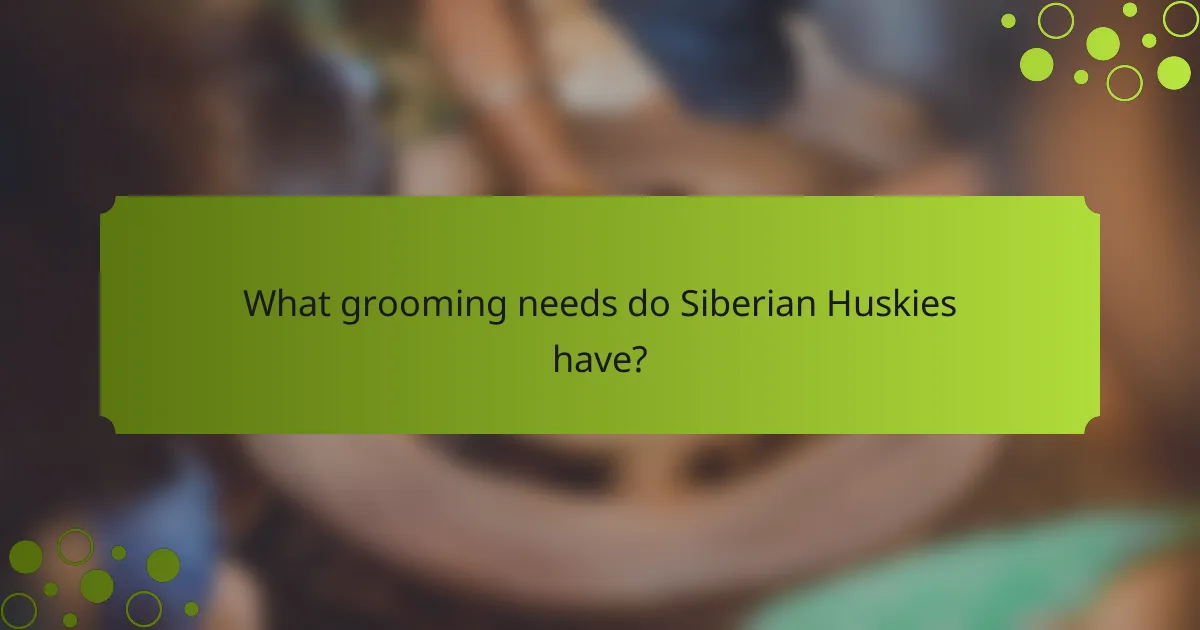 What grooming needs do Siberian Huskies have?