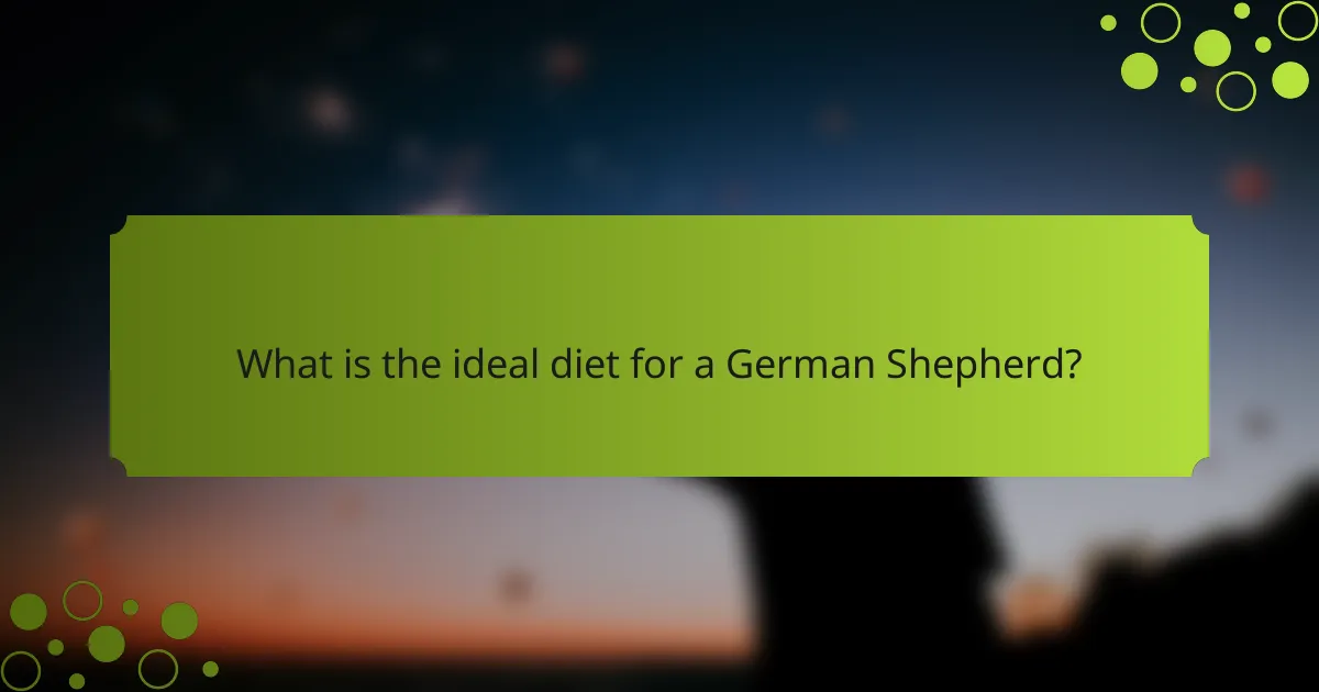 What is the ideal diet for a German Shepherd?