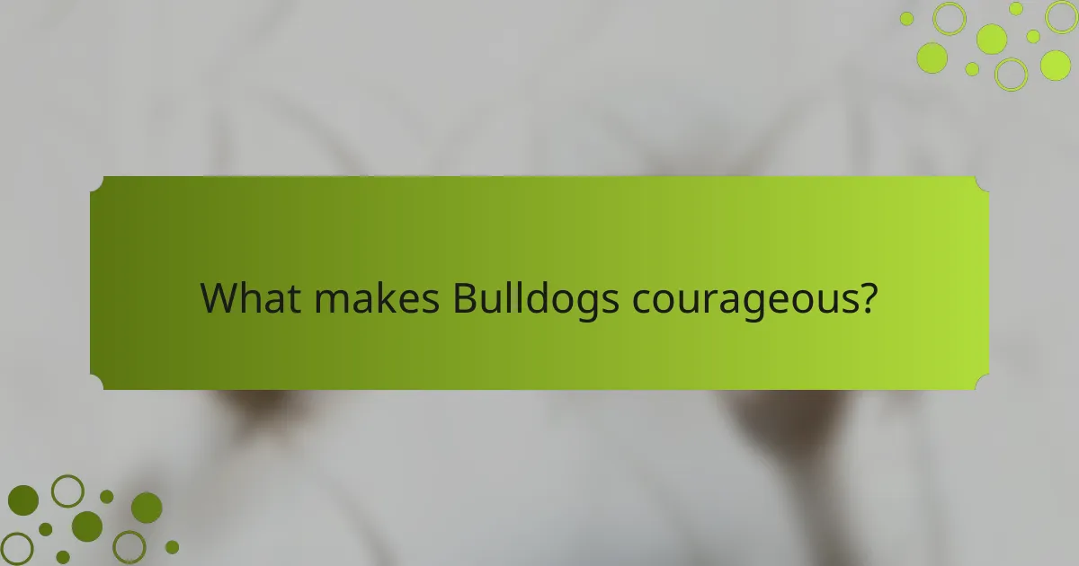 What makes Bulldogs courageous?