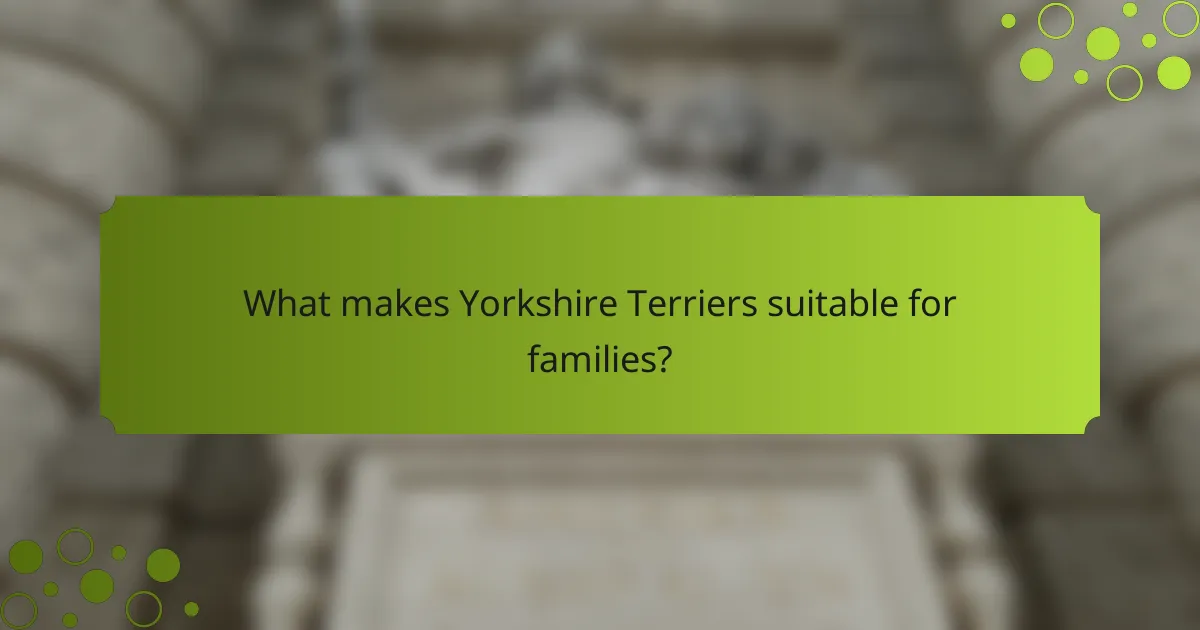 What makes Yorkshire Terriers suitable for families?