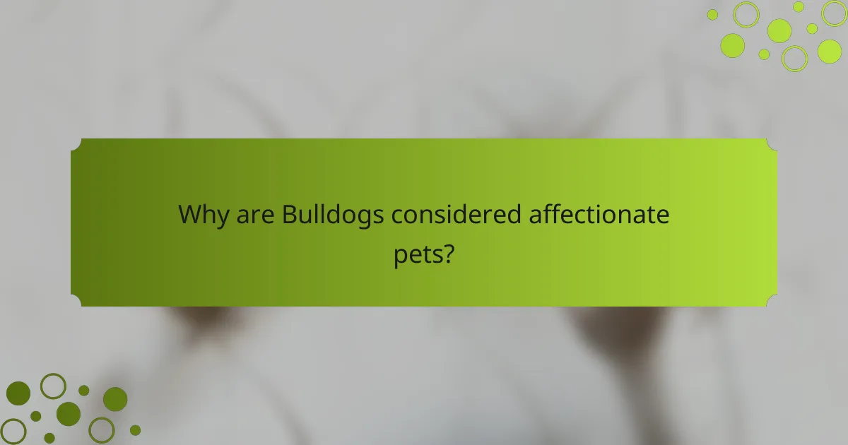 Why are Bulldogs considered affectionate pets?